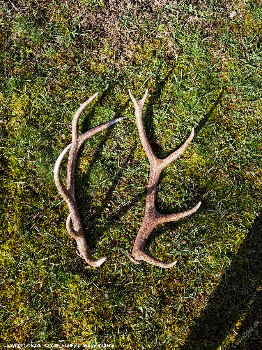 Dva desatoráky dnes ráno