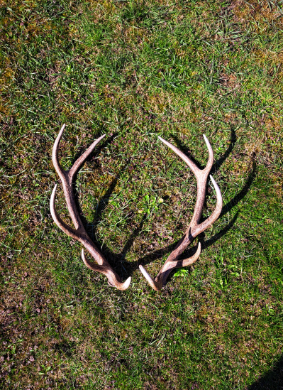 Druhý dohľadaný do páru zo včera