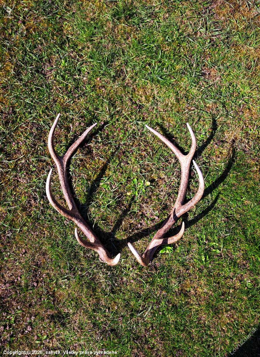 Druhý dohľadaný do páru zo včera