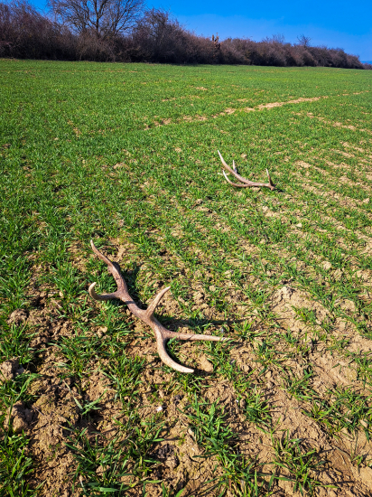 Krásny pohľad na pár