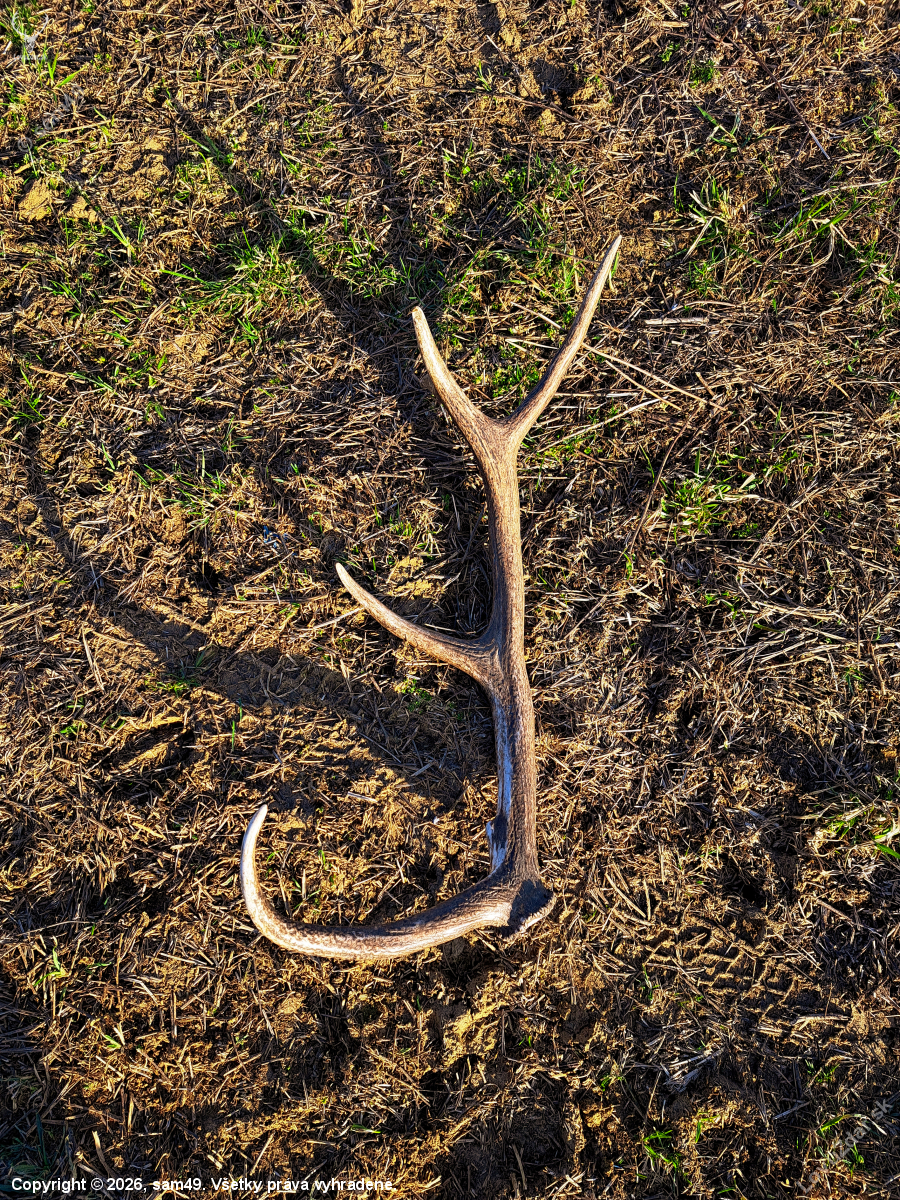 Zhod s vykrúteným očníkom