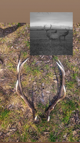 Pára zhodov aj s majiteľom