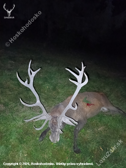 Rudo nezabudnem na teba