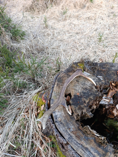 Keď neprší aspoň kvapká