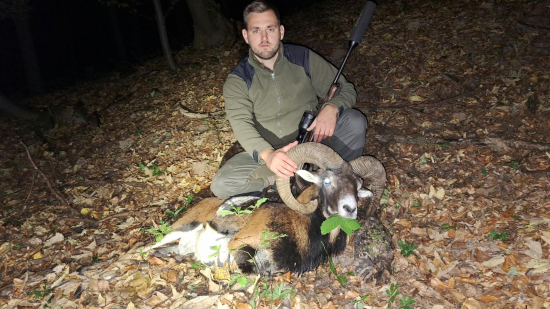 Prvý muflon