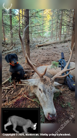 Poľovačka s rysom