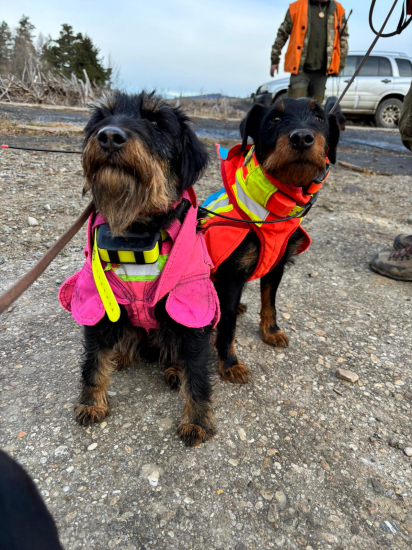 Mama a syn na spoločnej polovačke