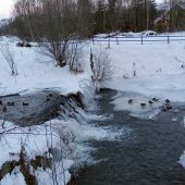 Moje kamarátky v treskúcej zime