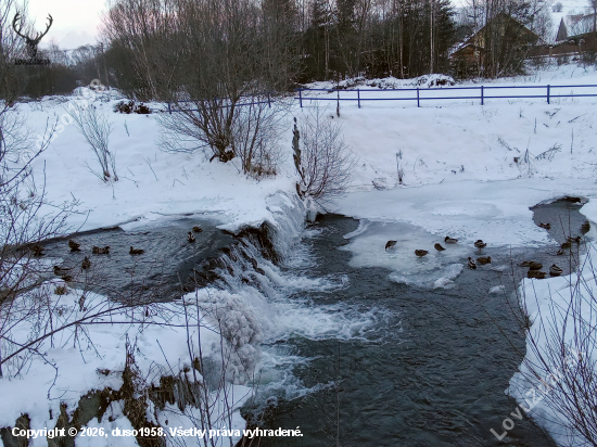 Moje kamarátky v treskúcej zime