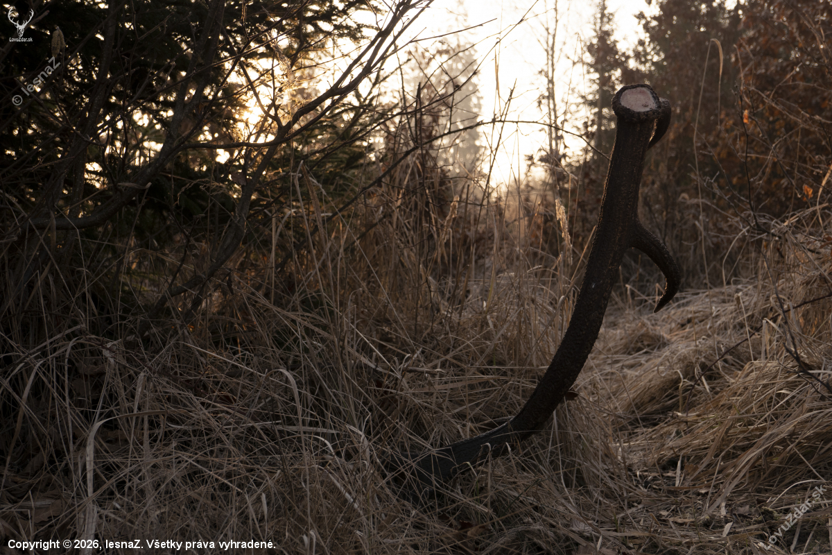 Najkrajšie ráno na svete