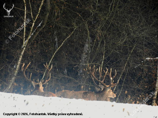 Cestou na ležovisko