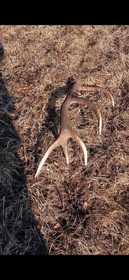 Posledný februárový deň