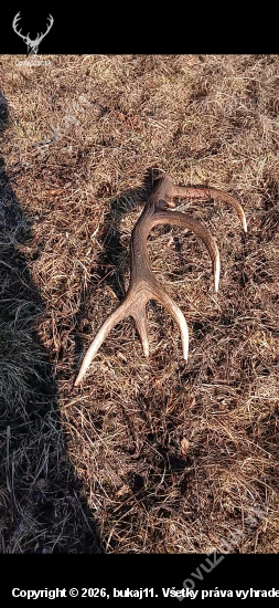 Posledný februárový deň