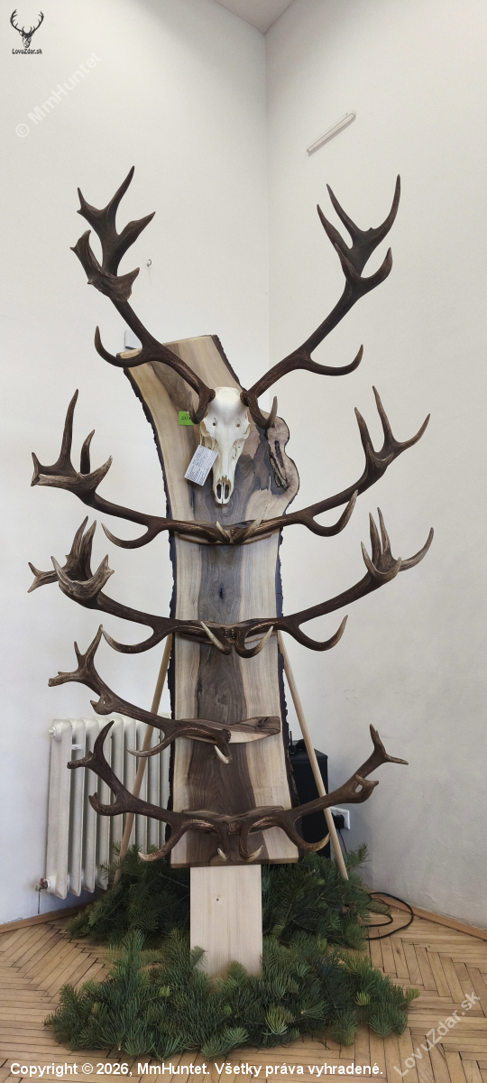 CHpt Žilina/Bytča 2025/2026