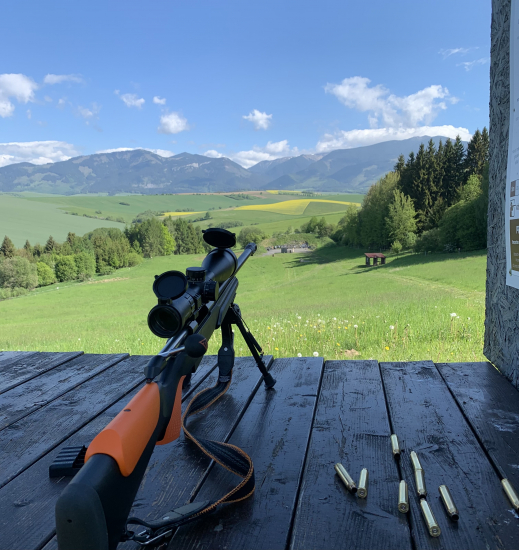 Tikka T3X Varmint 300win Mag