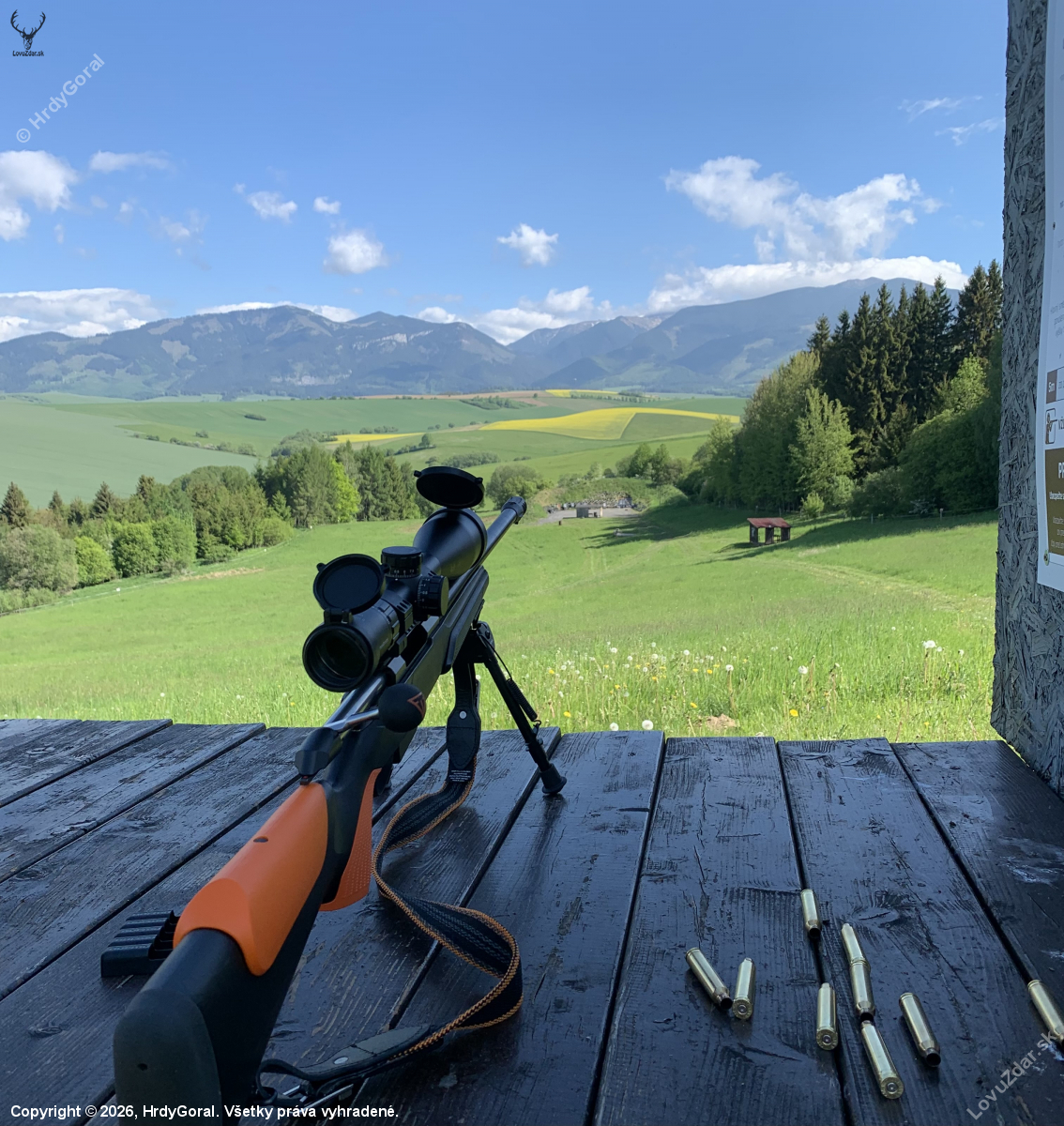 Tikka T3X Varmint 300win Mag