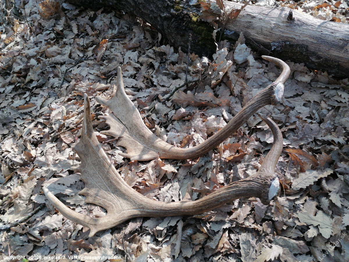 Úspešná Biela Sobota