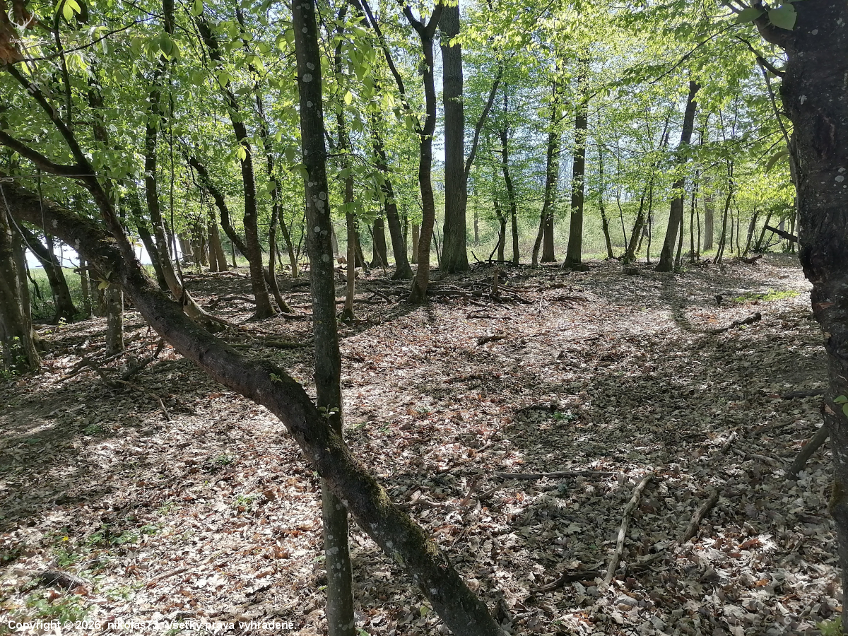 Ešteže mám štyri oči