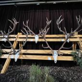 výstava lipt. hrádok 2025