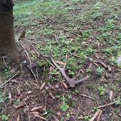 prekvapenie na hubách