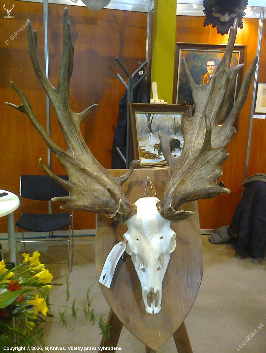 FeHoVa 2014