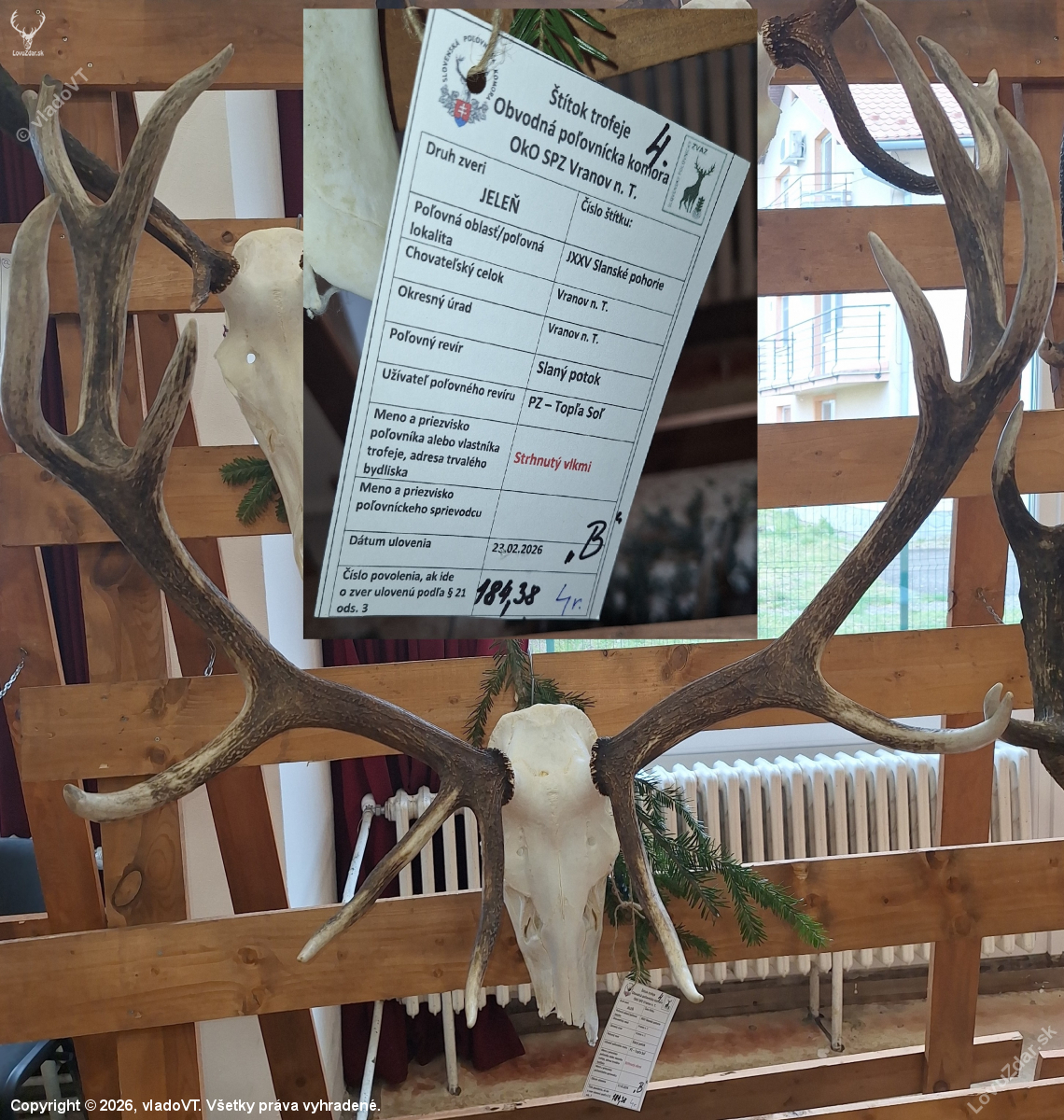 strhnutý vlkmi - 4 roky, 184,38 b. !!!