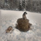 R.I.P ďakujem za tie roky