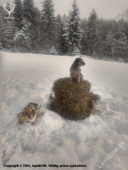 R.I.P ďakujem za tie roky