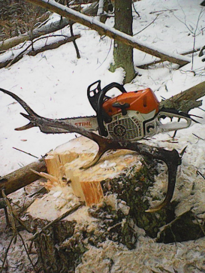 Dnešný sezónu začínam minuloročným