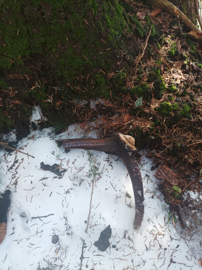 Dnešný aj takýto poteší