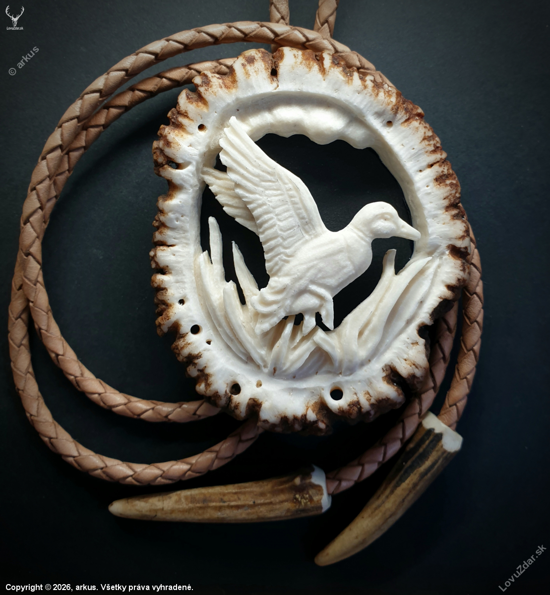 Bolo