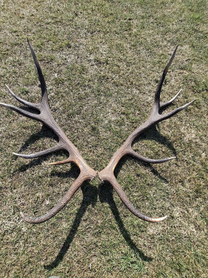 Keď sa usmeje šťastie.