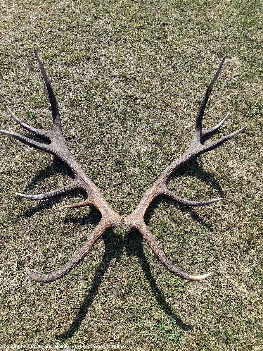 Keď sa usmeje šťastie.