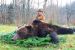 lov medveďa v Chorvátsku