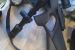 Predam Blaser R8 Succes Profesional