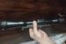 Predam