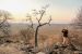 Africké safari – Namíbia, máj-august 2026
