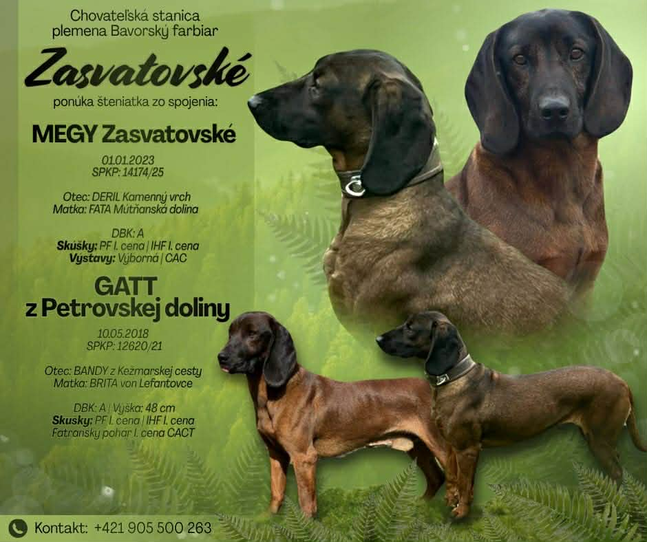 Bavorský farbiar s PP