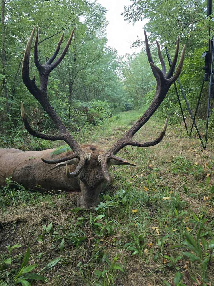 polovacka-v-madarsku