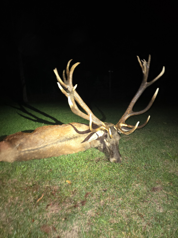 polovacka-v-madarsku