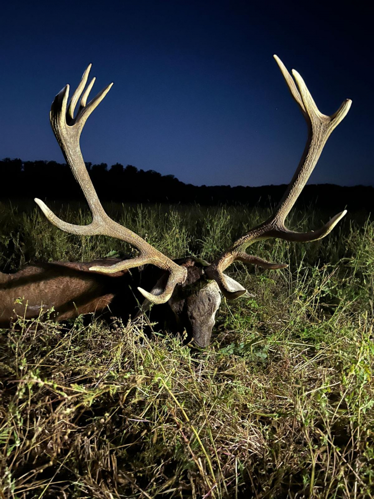 polovacka-v-madarsku