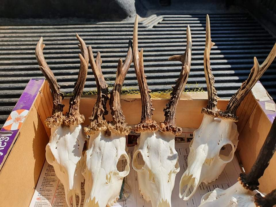 polovacka-v-madarsku