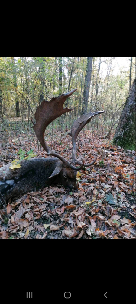 polovacka-v-madarsku
