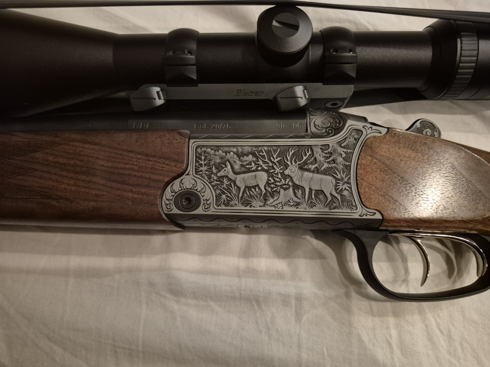 Blaser BBF 95 Luxus