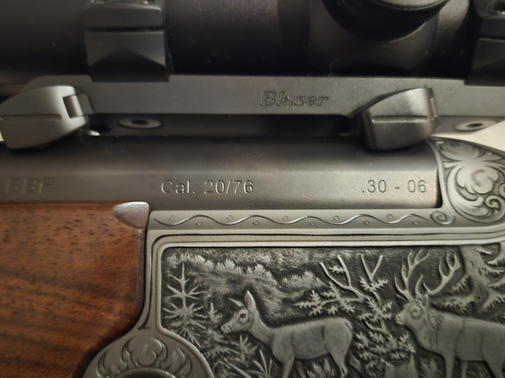 Blaser BBF 95 Luxus