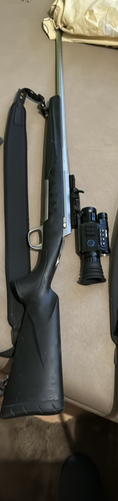 Browning x bolt 308win