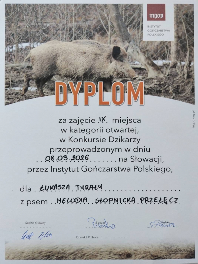 Ogar Polski - FCI