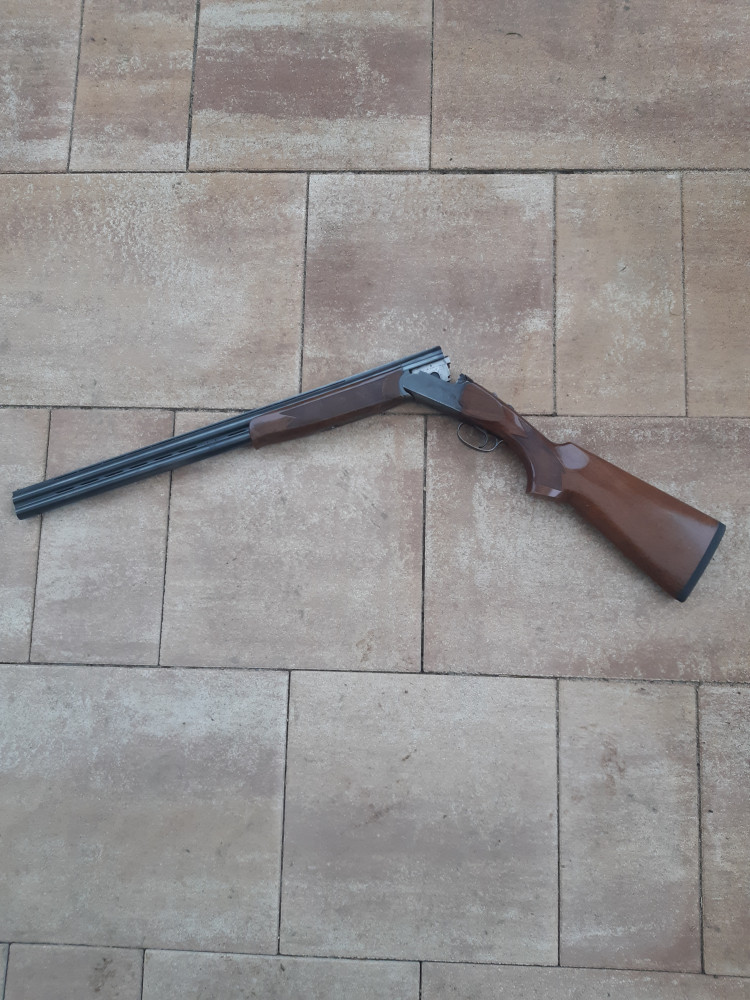 Rizzini
