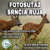 FOTOSÚŤAŽ SRNČIA RUJA