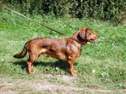 Nevšedný zážitok.